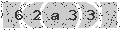 verify code
