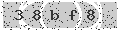 verify code